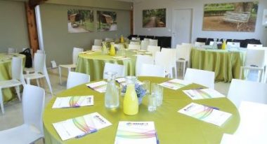 IronScales- Round Table