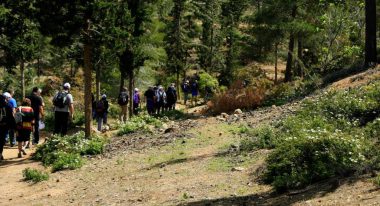 הרי ירושליים – אפריל 2014